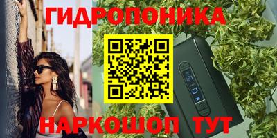 индика Кумертау