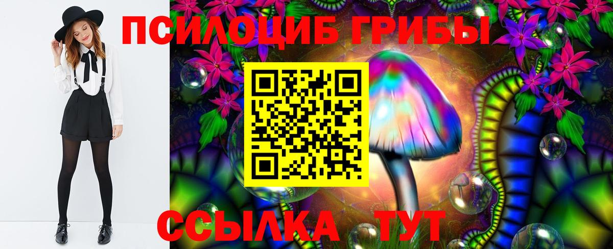Псилоцибиновые грибы Cubensis Зеленогорск